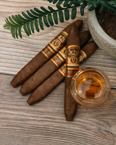 Oliva Product Oliva Product
