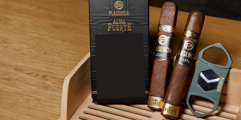 Plasencia Deal Plasencia Deal